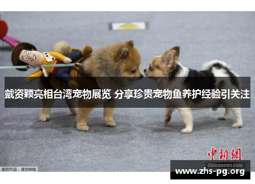 戴资颖亮相台湾宠物展览 分享珍贵宠物鱼养护经验引关注 戴资颖亮相台湾宠物展览 分享珍贵宠物鱼养护经验引关注
