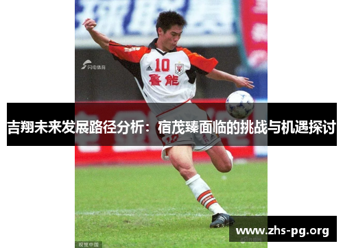 吉翔未来发展路径分析:宿茂臻面临的挑战与机遇探讨 吉翔未来发展路径分析:宿茂臻面临的挑战与机遇探讨
