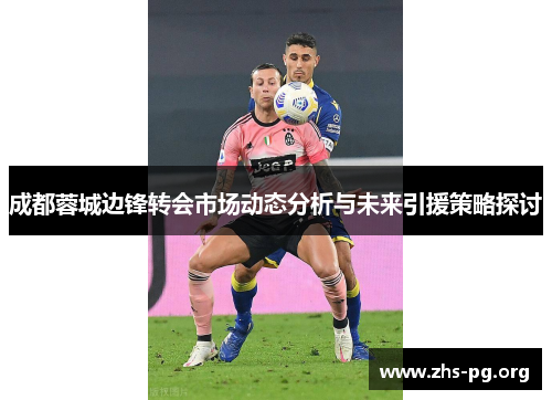 成都蓉城边锋转会市场动态分析与未来引援策略探讨 成都蓉城边锋转会市场动态分析与未来引援策略探讨