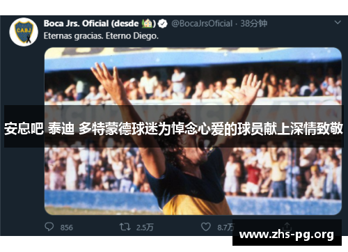 安息吧 泰迪 多特蒙德球迷为悼念心爱的球员献上深情致敬 安息吧 泰迪 多特蒙德球迷为悼念心爱的球员献上深情致敬