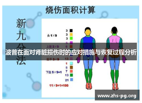 波普在面对肾脏损伤时的应对措施与恢复过程分析 波普在面对肾脏损伤时的应对措施与恢复过程分析
