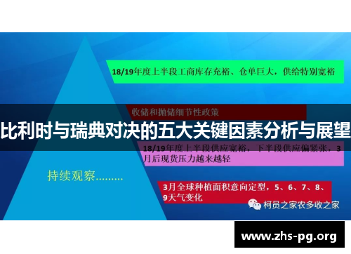 比利时与瑞典对决的五大关键因素分析与展望 比利时与瑞典对决的五大关键因素分析与展望