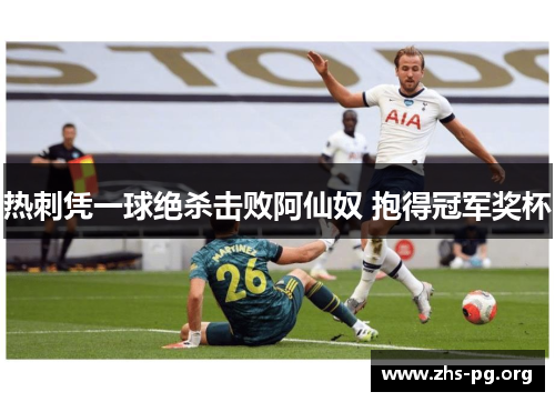 热刺凭一球绝杀击败阿仙奴 抱得冠军奖杯 热刺凭一球绝杀击败阿仙奴 抱得冠军奖杯