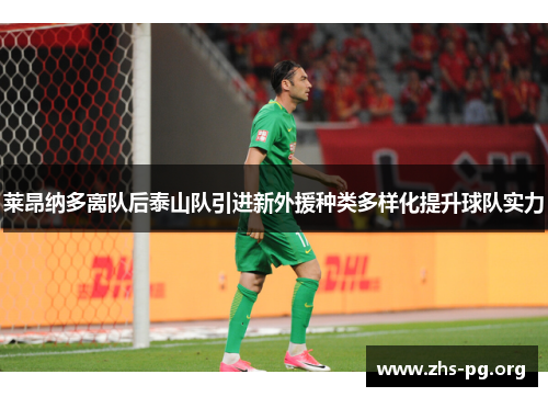 莱昂纳多离队后泰山队引进新外援种类多样化提升球队实力 莱昂纳多离队后泰山队引进新外援种类多样化提升球队实力
