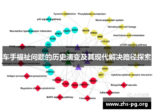 车手福祉问题的历史演变及其现代解决路径探索 车手福祉问题的历史演变及其现代解决路径探索